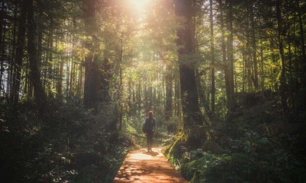 This new travel trend combines wellness with wildlife