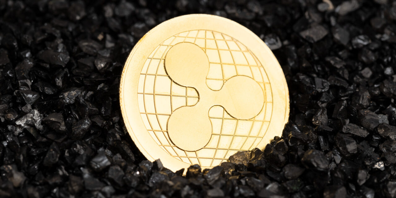 Ripple CEO Denies Reported US$4–$5B Circle Acquisition Amid IPO Plans