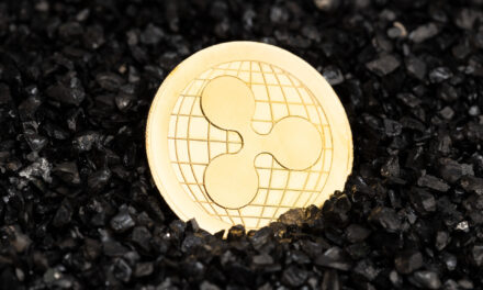 Ripple CEO Denies Reported US$4–$5B Circle Acquisition Amid IPO Plans