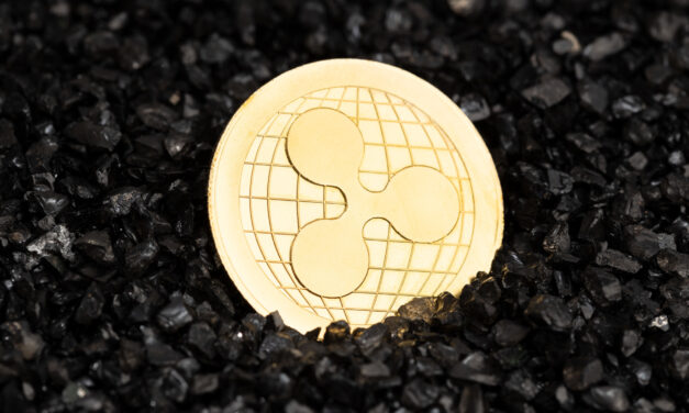 Ripple CEO Denies Reported US$4–$5B Circle Acquisition Amid IPO Plans
