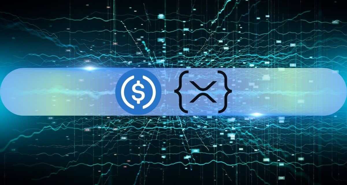 Ripple’s XRP Ledger Welcomes the World’s Second-Biggest Stablecoin