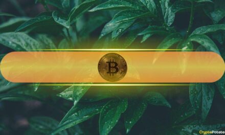 Rare Investor Alignment Emerges as Bitcoin (BTC) Rallies From Geopolitical Dip