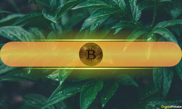 Rare Investor Alignment Emerges as Bitcoin (BTC) Rallies From Geopolitical Dip