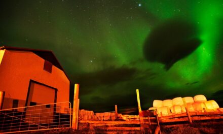 May 2024 solar storm cost $500 million in damages to farmers, new study reveals