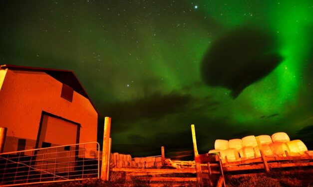 May 2024 solar storm cost $500 million in damages to farmers, new study reveals