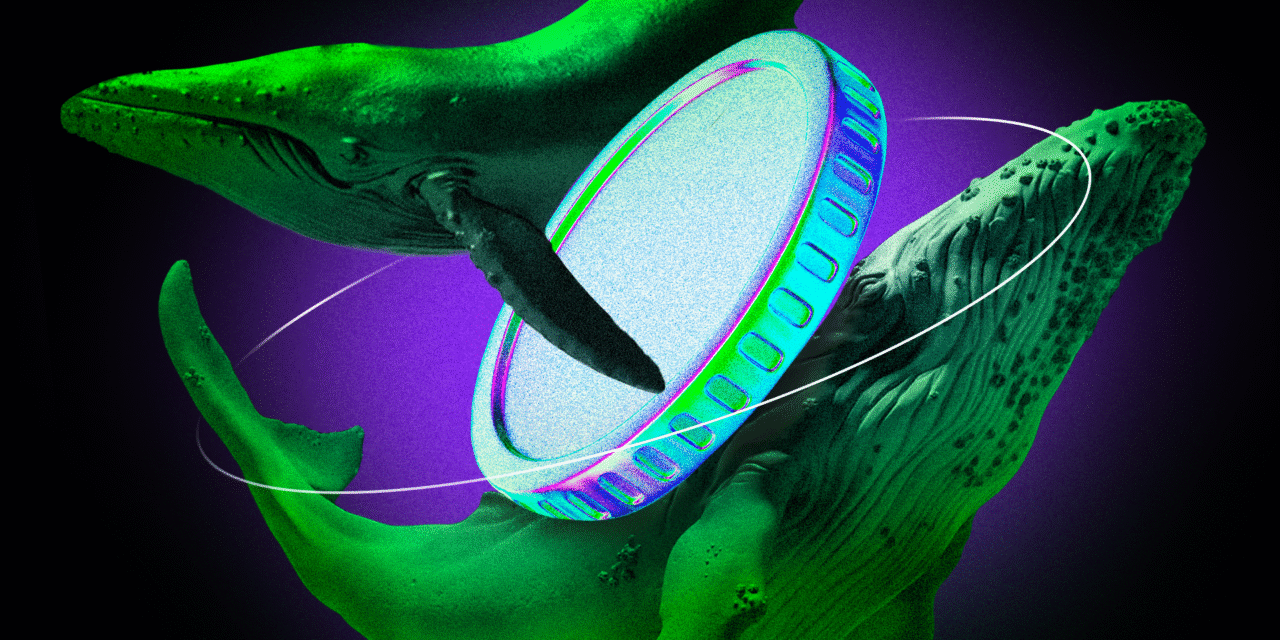 Crypto Whales See Major Wins and Losses as Israel-Iran Tensions Shake the Market