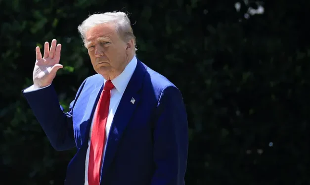 Trump Backs Meta in Dispute Over Canada’s Digital Services Tax