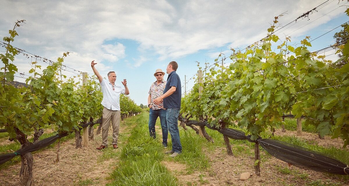 In the shadow of Niagara Falls, Canada’s wine country offers a feast for the senses