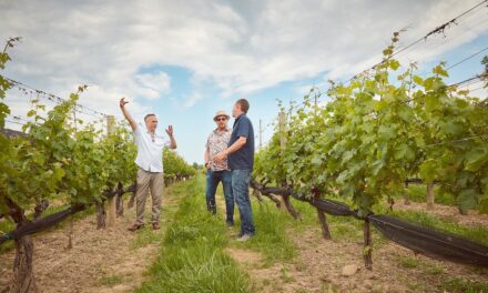 In the shadow of Niagara Falls, Canada’s wine country offers a feast for the senses