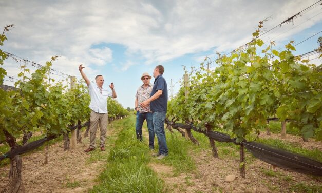 In the shadow of Niagara Falls, Canada’s wine country offers a feast for the senses