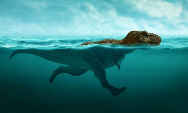 Could T. rex swim? Kinda