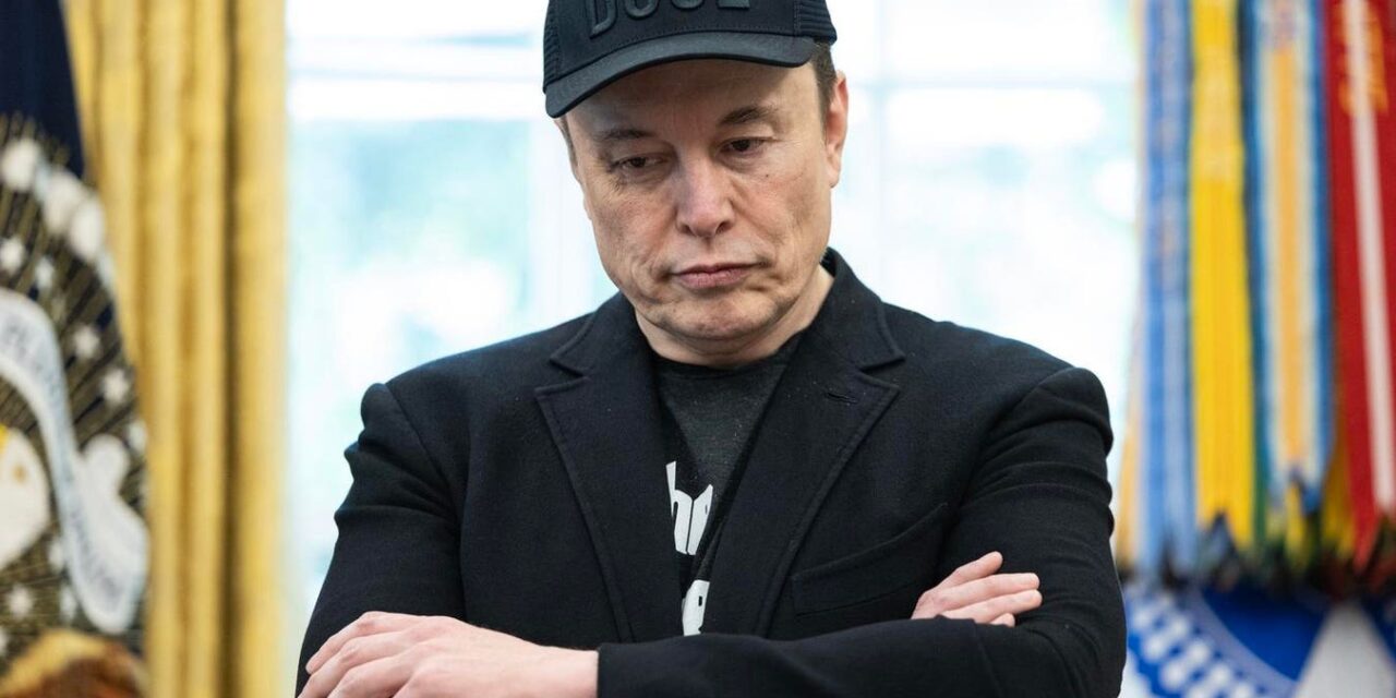 Elon Musk Suggests His New Political Party Will Target Key Senate, House Seats