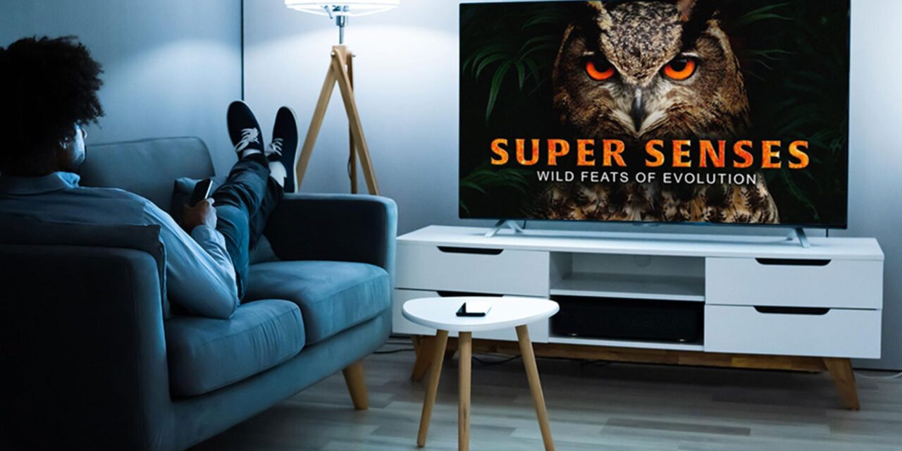 Ditch Netflix. Its documentary-loving competitor has ZERO fees.