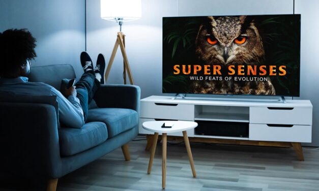 Ditch Netflix. Its documentary-loving competitor has ZERO fees.