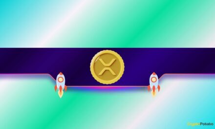 XRP Is Screaming for New All-Time Highs: Are You Seeing This? (Analyst)