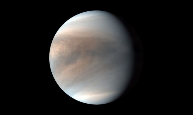 2 Earth weather satellites accidentally spy on Venus