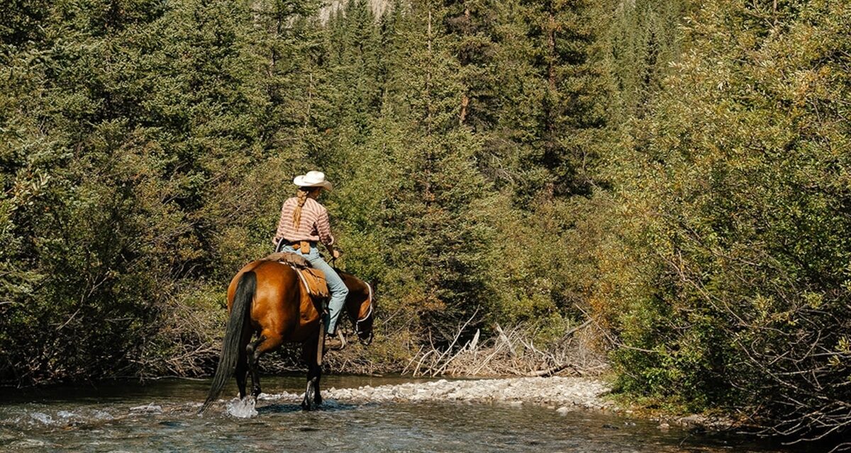 Trace the backcountry trails of Banff National Park on horseback