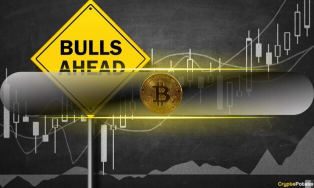 $200K Bitcoin (BTC) This Year? On-Chain Metrics Make a Strong Case