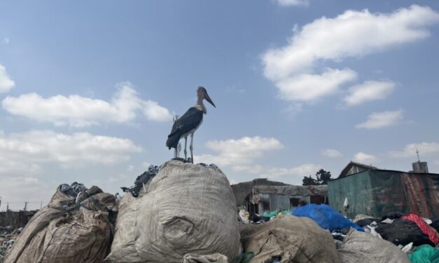 As Africa pays the price for rich world’s fast fashion fix, new French bill targets brands