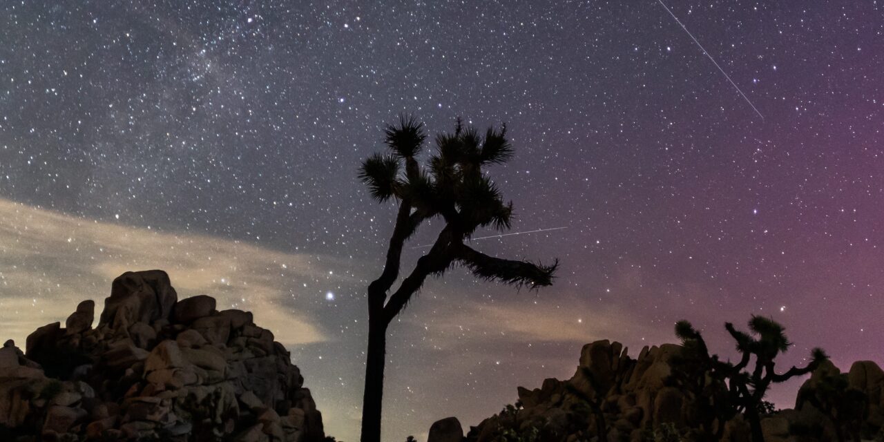 Meteor Shower August 2025: How & When to Watch the Perseid Shower
