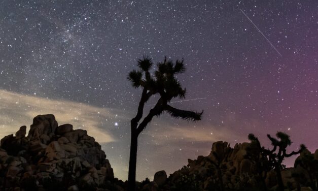 Meteor Shower August 2025: How & When to Watch the Perseid Shower