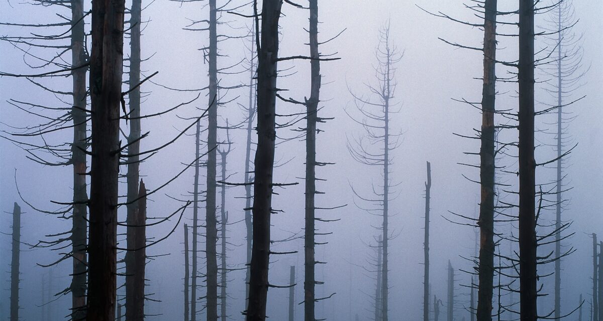 Acid Rain