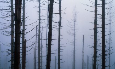 Acid Rain