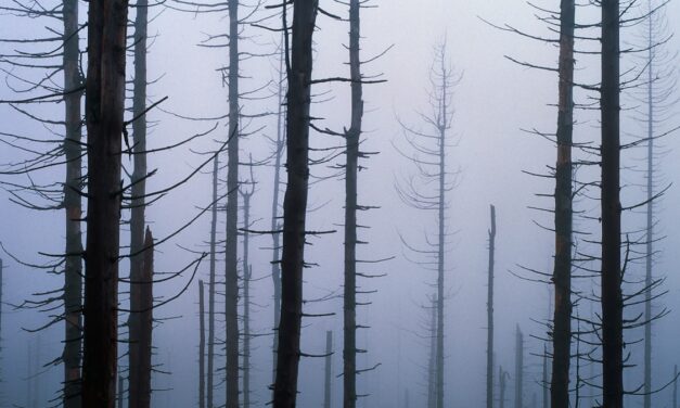 Acid Rain