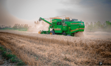Louis Dreyfus Company funds major regenerative ag project in India