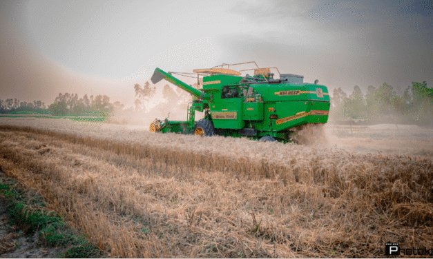 Louis Dreyfus Company funds major regenerative ag project in India