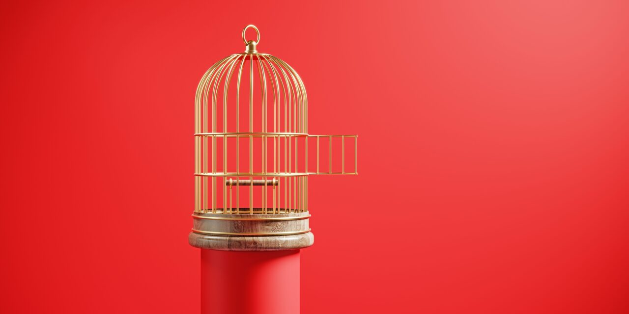 What Exactly Is a Male Chastity Cage—And Why Can It Be Such A Turn-On?
