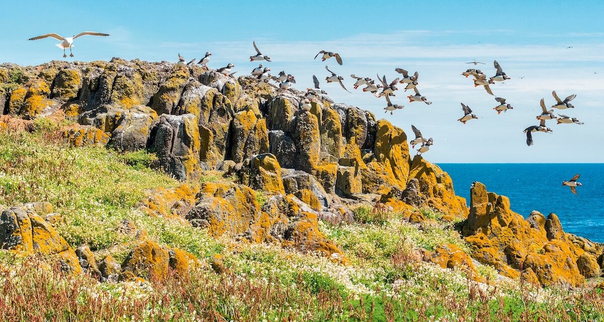Why coastal Fife is one of Scotland’s best walking adventures