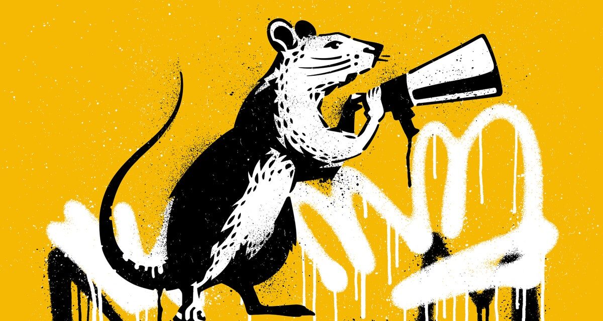 Scientists Map Nightlife and Communication of NYC Rats to Help Urban Planning and Pest Control