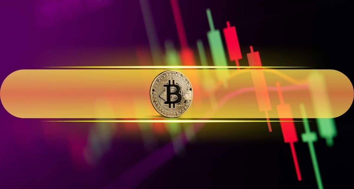 PUMP Soars 22% in a Day as Bitcoin Holds Steady at $116K: Weekend Watch
