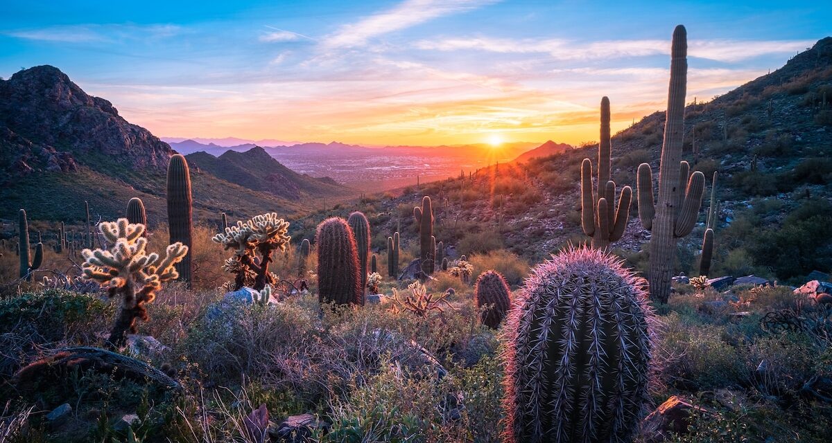 A family travel guide to Scottsdale, Arizona
