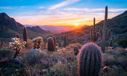 A family travel guide to Scottsdale, Arizona