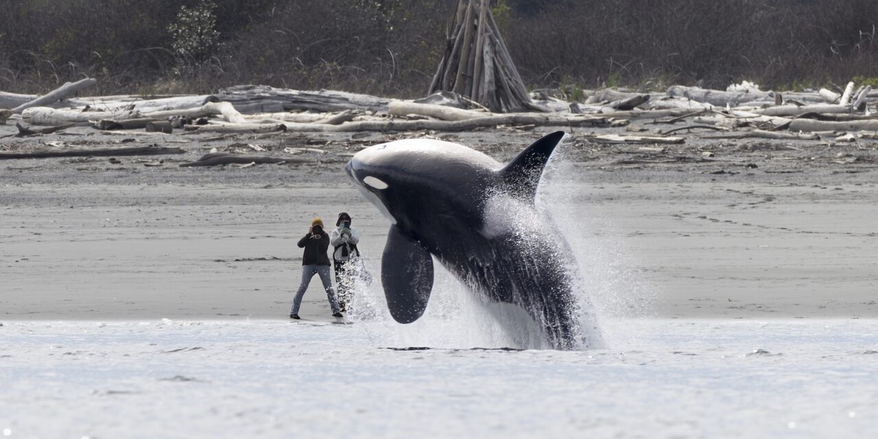 14 award-winning images of our mighty oceans