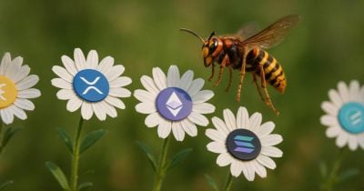 Cyber Hornet files for ETFs blending S&P 500 with Ether, XRP, and Solana futures