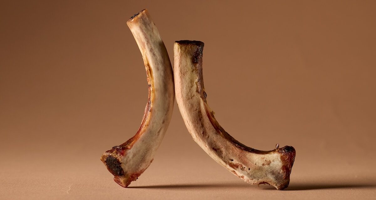 The scientific case for eating more bones