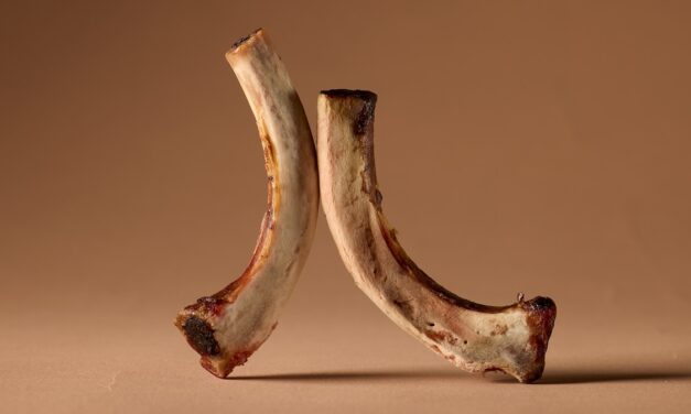 The scientific case for eating more bones
