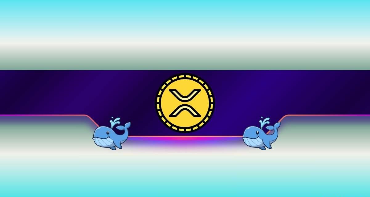 250,000,000 XRP Bought in 2 Days: What Are Ripple Whales Up To?