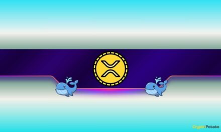 250,000,000 XRP Bought in 2 Days: What Are Ripple Whales Up To?