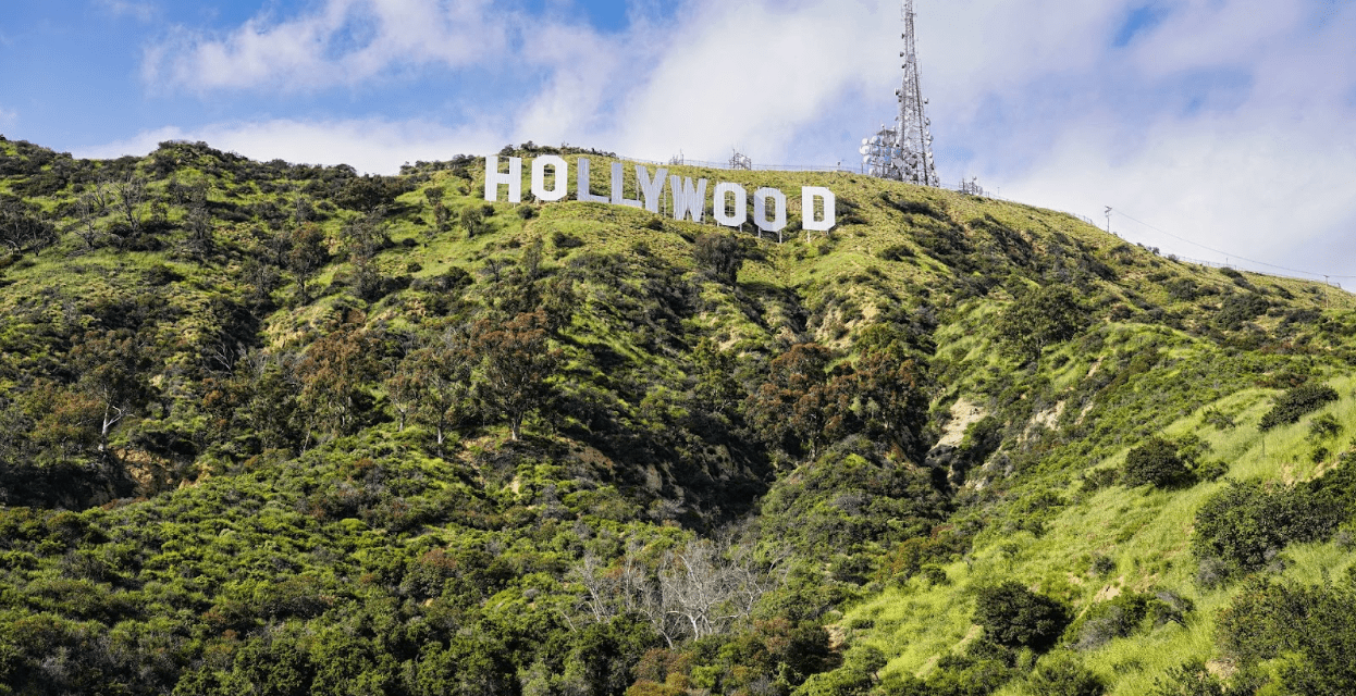 Hollywood Stars and Their Bold Ventures Beyond the Screen