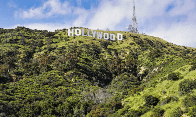 Hollywood Stars and Their Bold Ventures Beyond the Screen