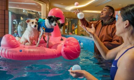 Want your dog to live a longer life? Here are 6 science-backed tips