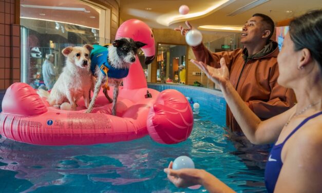 Want your dog to live a longer life? Here are 6 science-backed tips