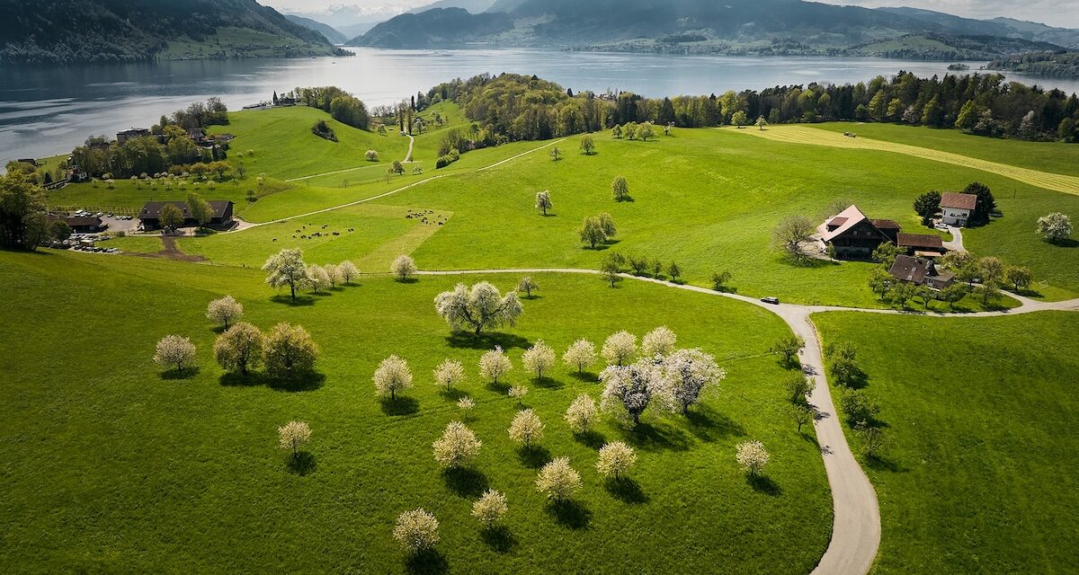 5 essential experiences in the Lake Lucerne region