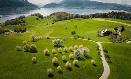 5 essential experiences in the Lake Lucerne region