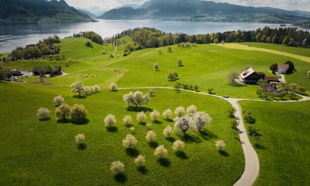 5 essential experiences in the Lake Lucerne region