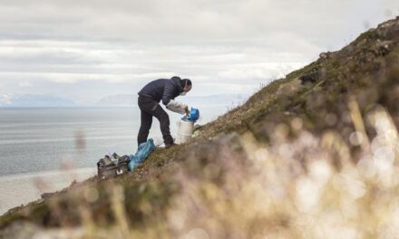 On an Arctic archipelago, frozen soil may preserve a hidden history of viruses